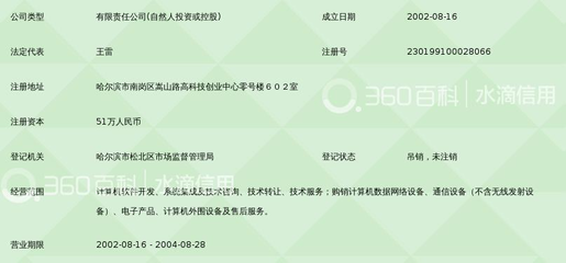 哈尔滨网联科技与哈尔滨网络科技 数字经济浪潮下的冰城力量
